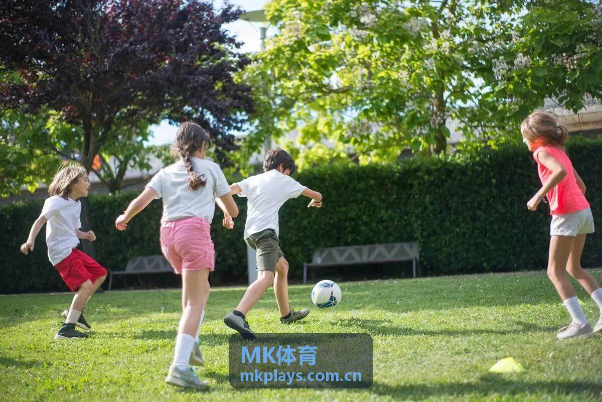 MK体育重点赛事专题中的运动场与观众席